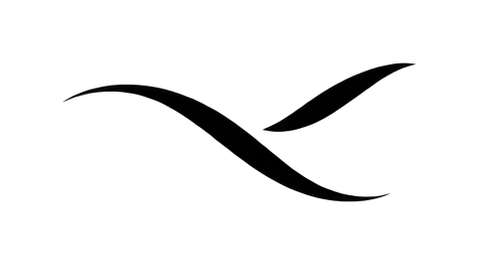 Volantem bird mark in flight